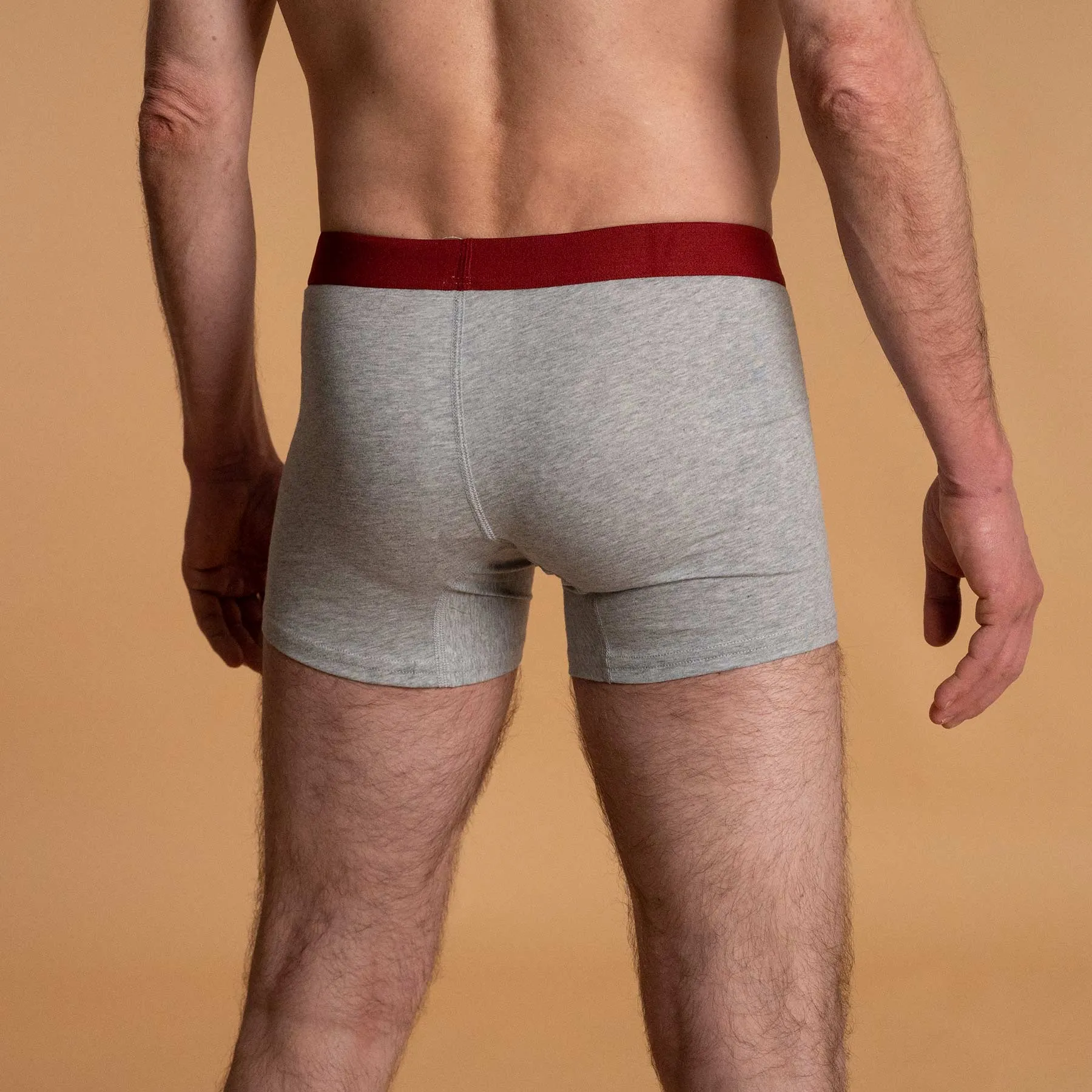 ESSEX Organic Cotton Sports Boxer Briefs (Gusset Crotch)